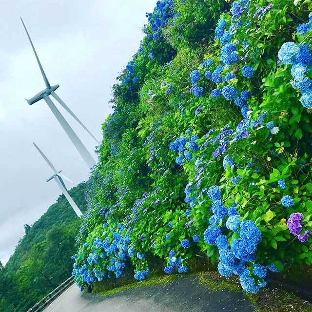 潜派旅行