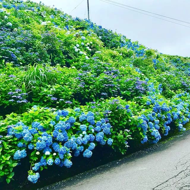 潜派旅行