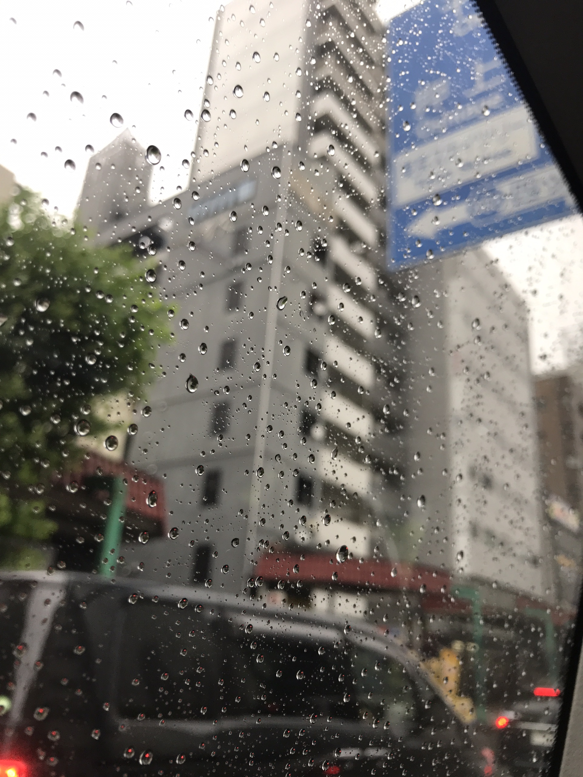 东京美食-Kareudonsenkichi