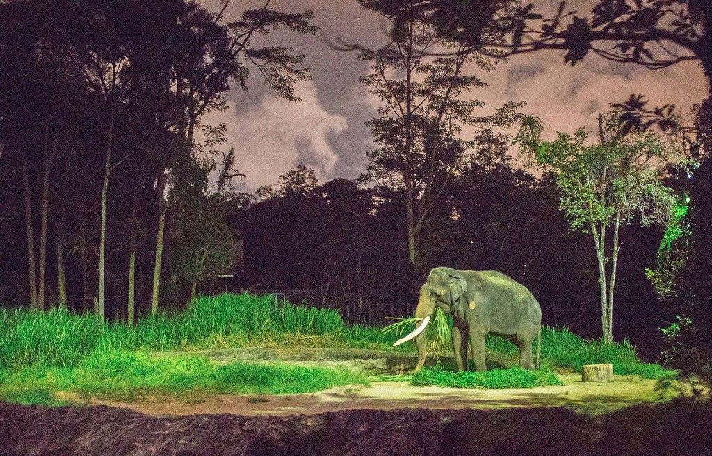潜派旅行