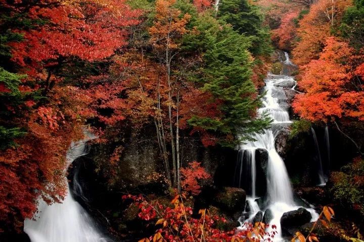 潜派旅行