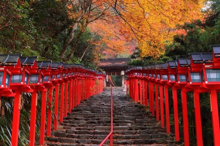 潜派旅行