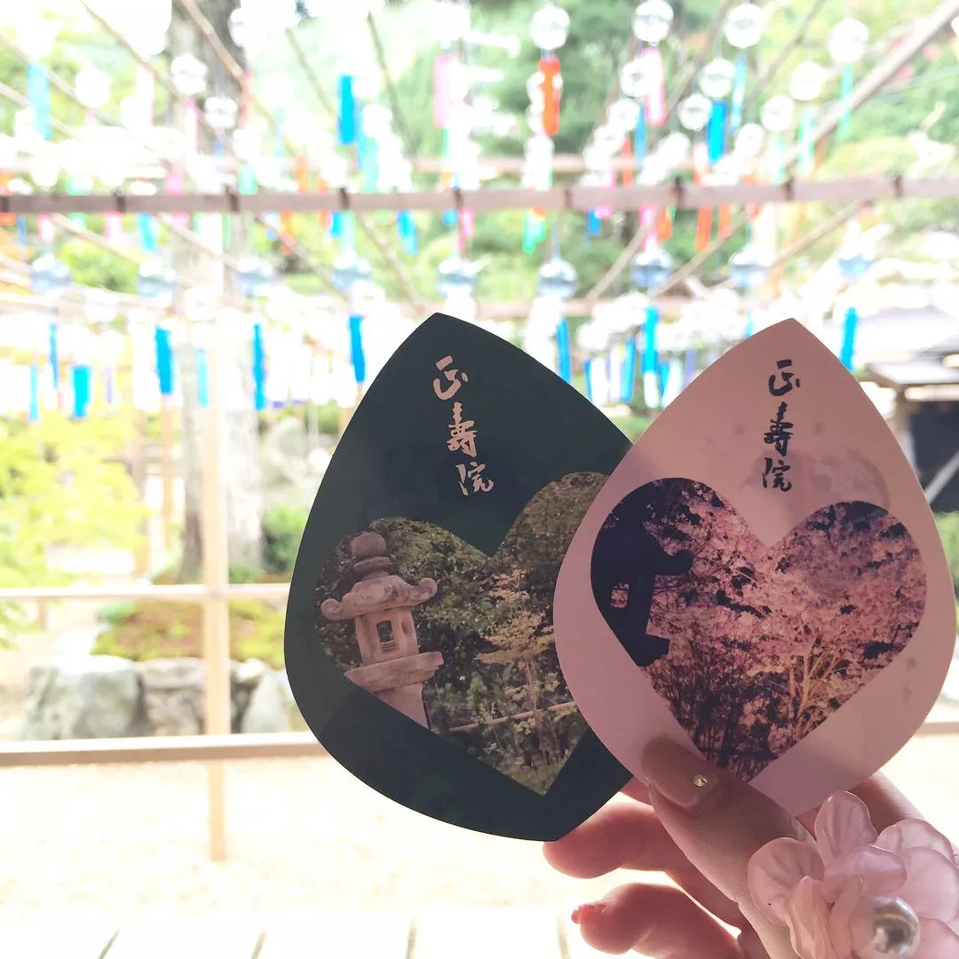 潜派旅行