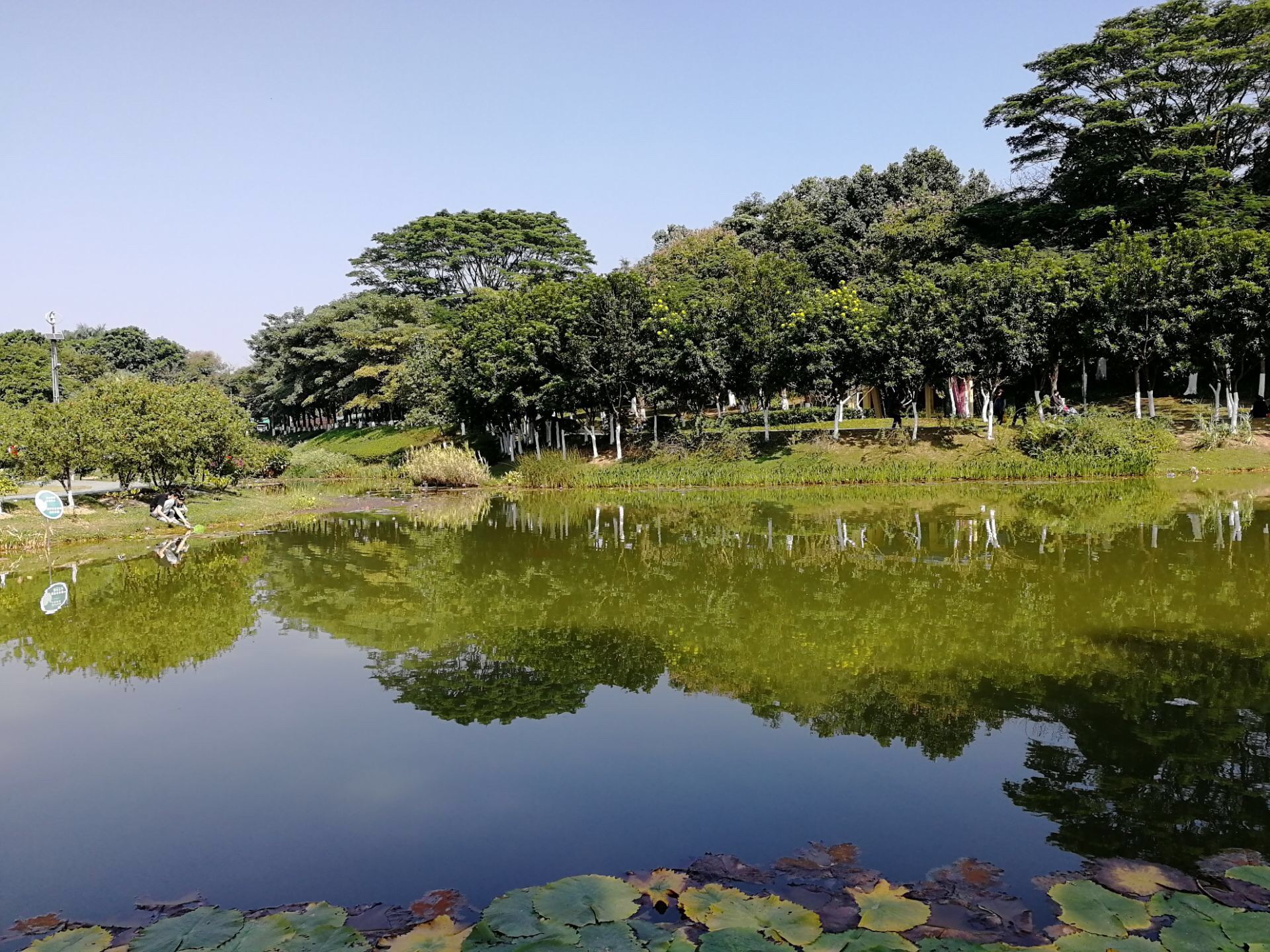 【东莞景点图片】东莞植物园