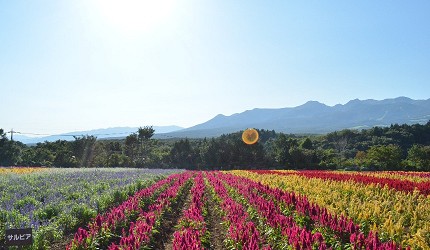 潜派旅行
