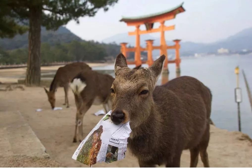 潜派旅行