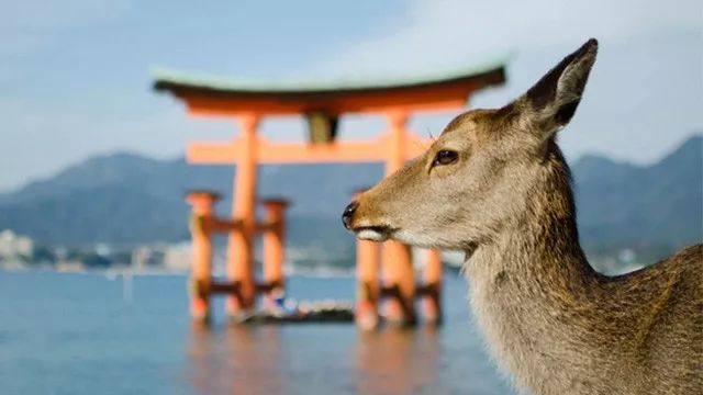 潜派旅行