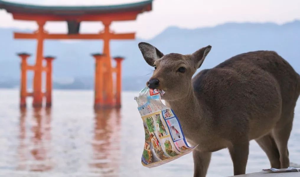 潜派旅行