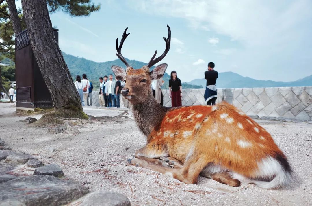 潜派旅行