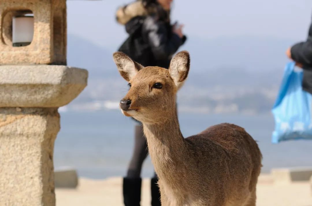 潜派旅行