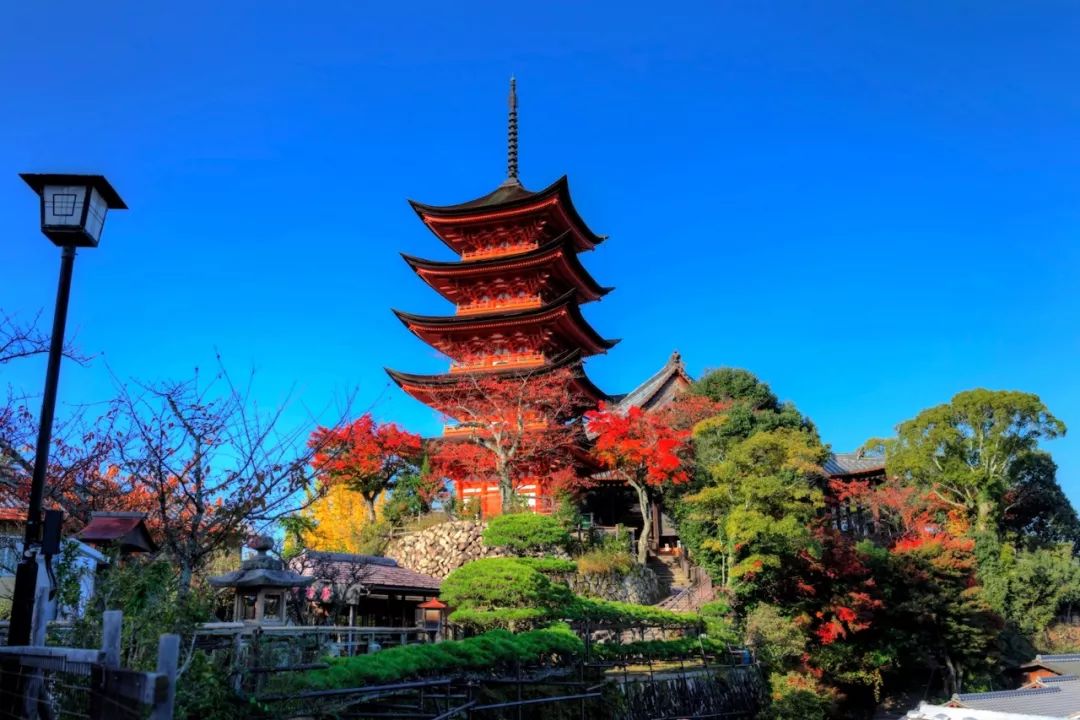 潜派旅行