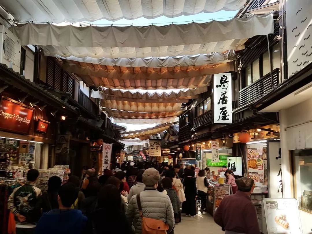 潜派旅行
