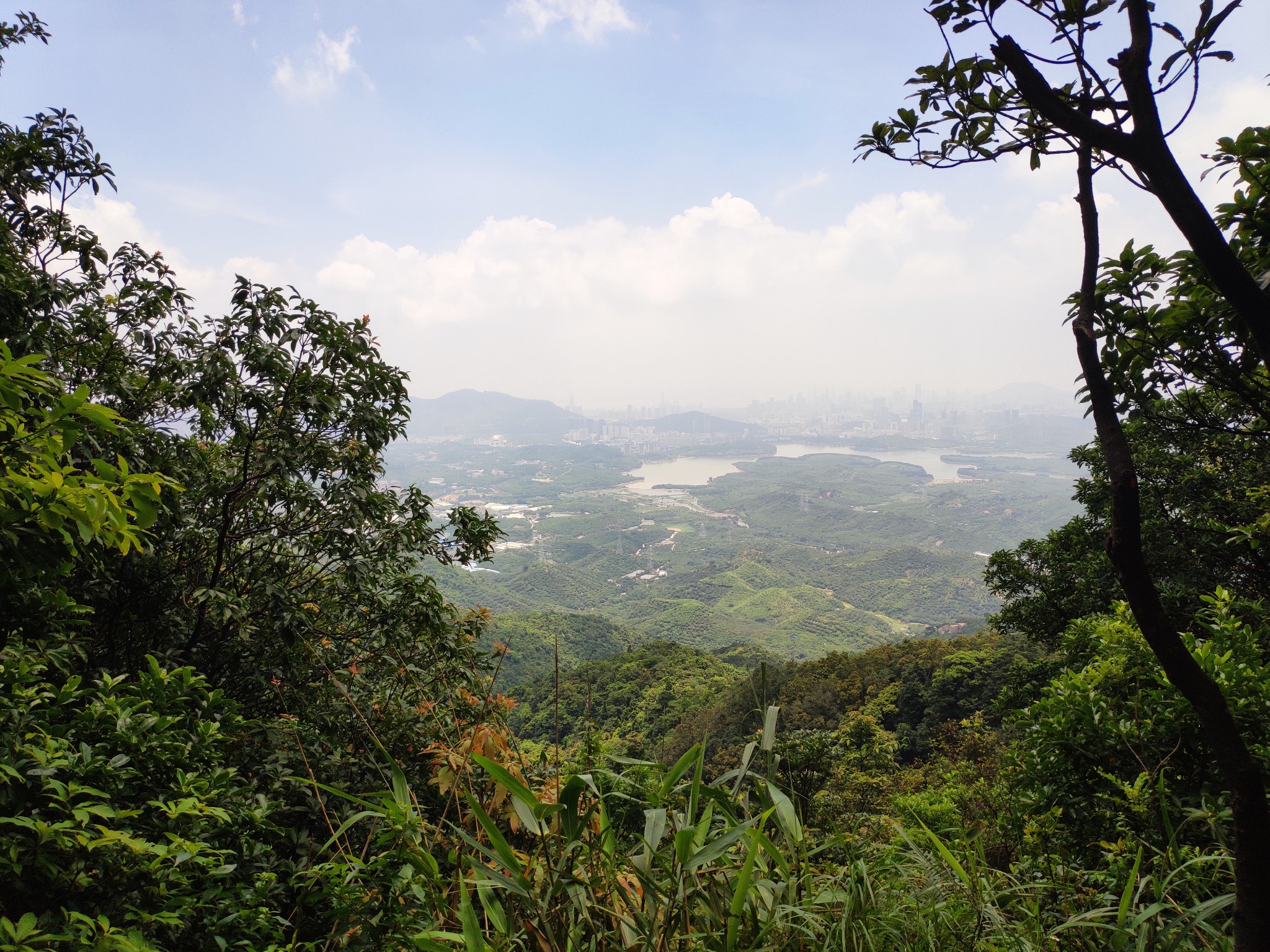 羊台叠翠&浩然正气(深圳羊台山)