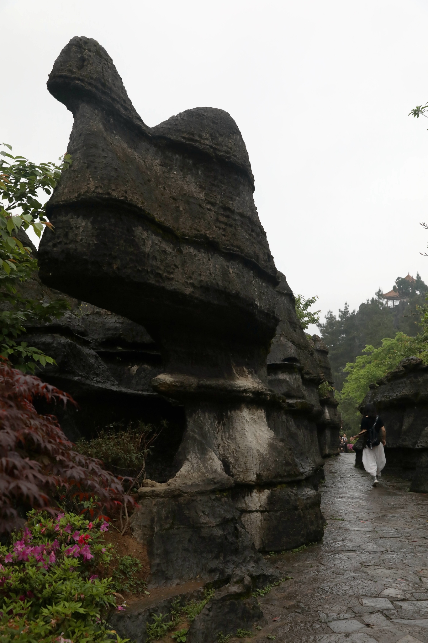 万盛奥陶纪、石林