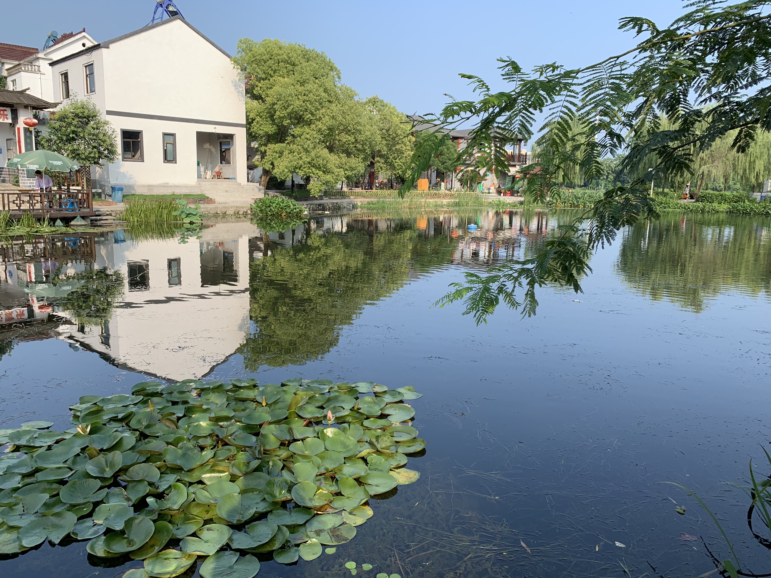 【湾沚区景点图片】益然香木榨产业观光园