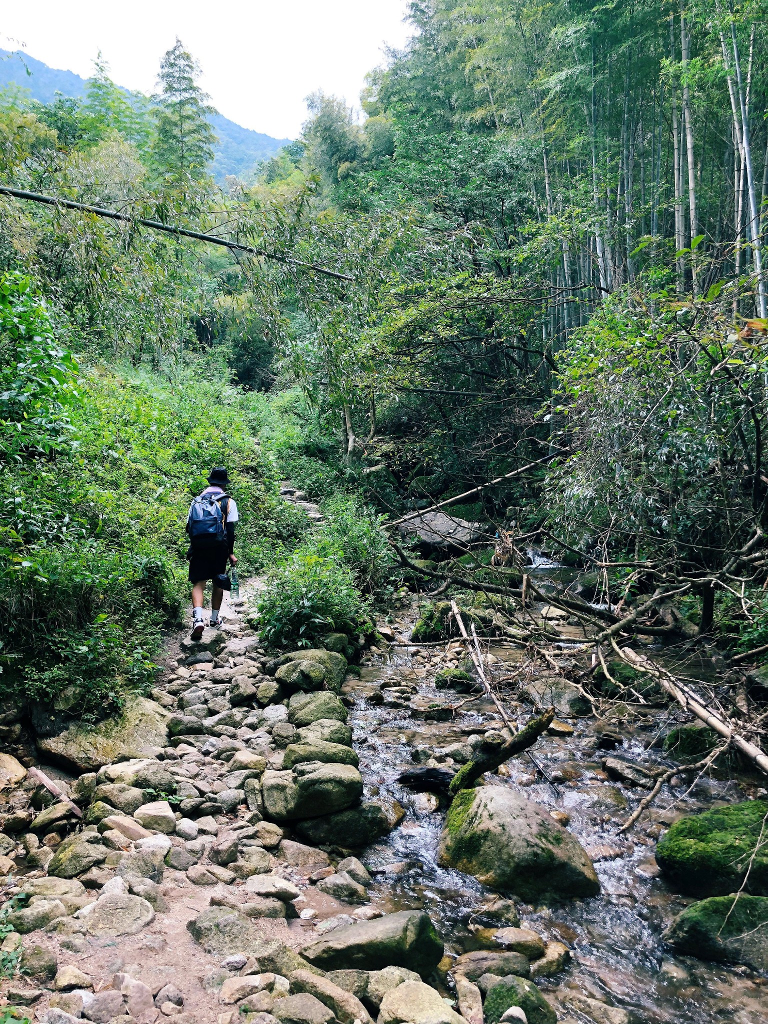 两天反穿武功山 | 遇见最美人间仙境