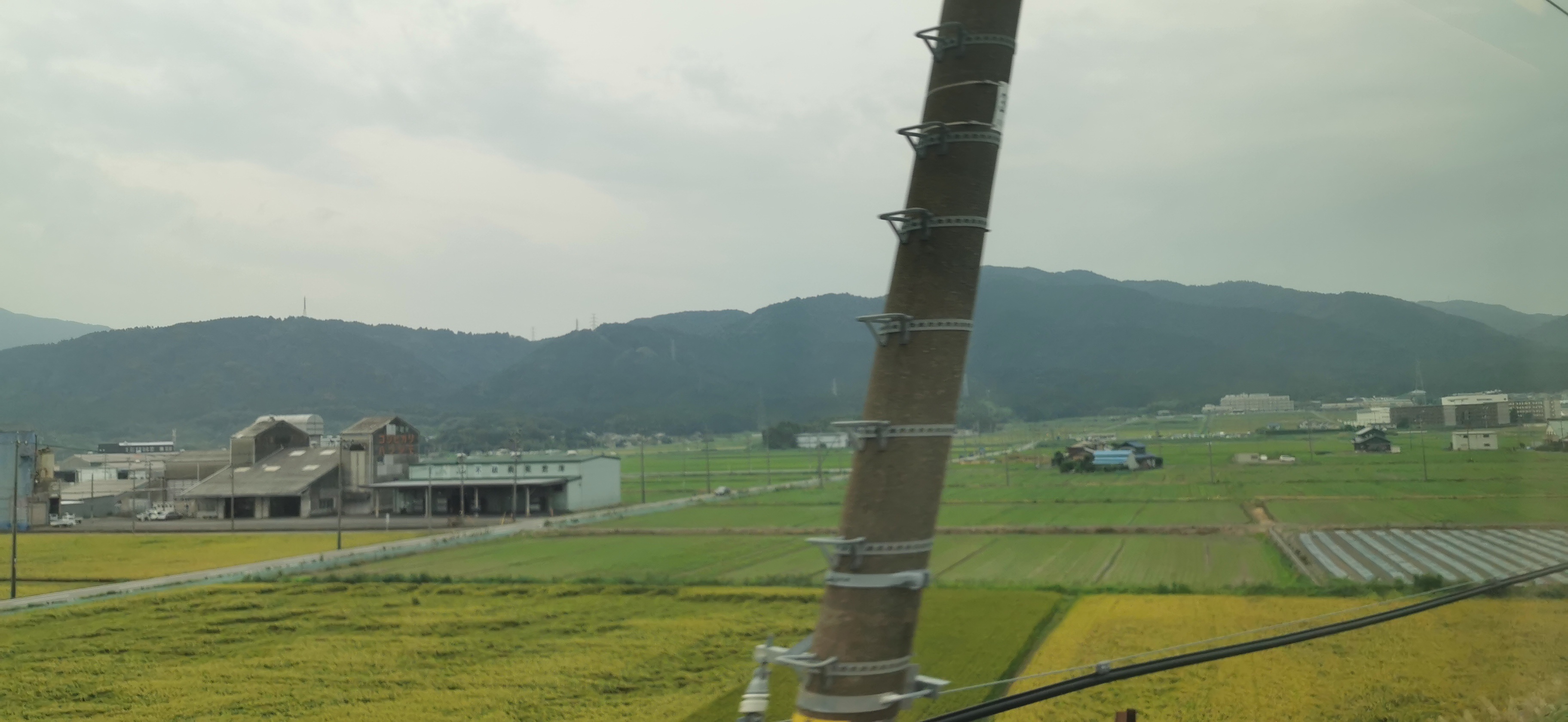 东京美食-mothi-fu