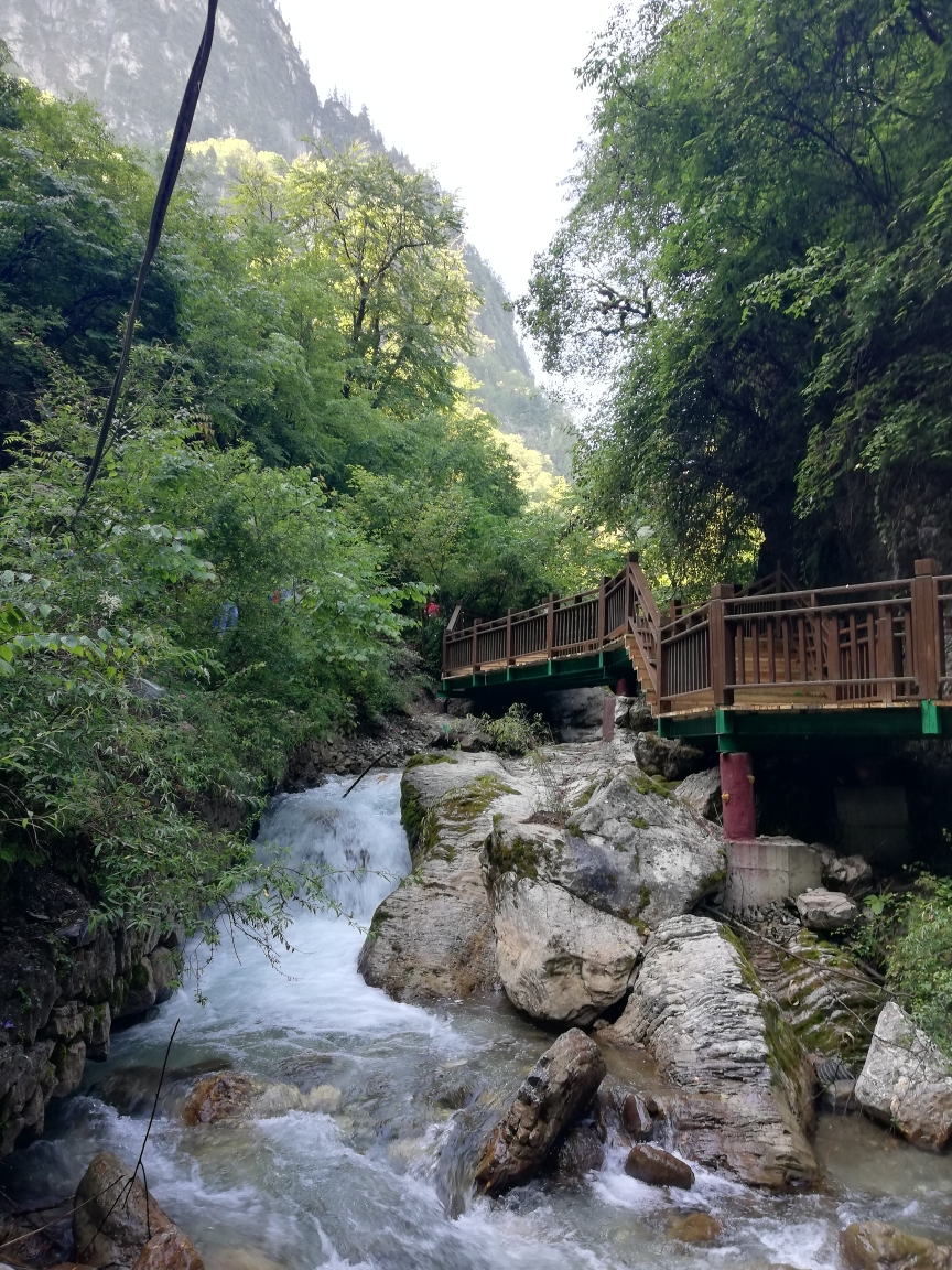 游甘肃宕昌县官鹅沟景区