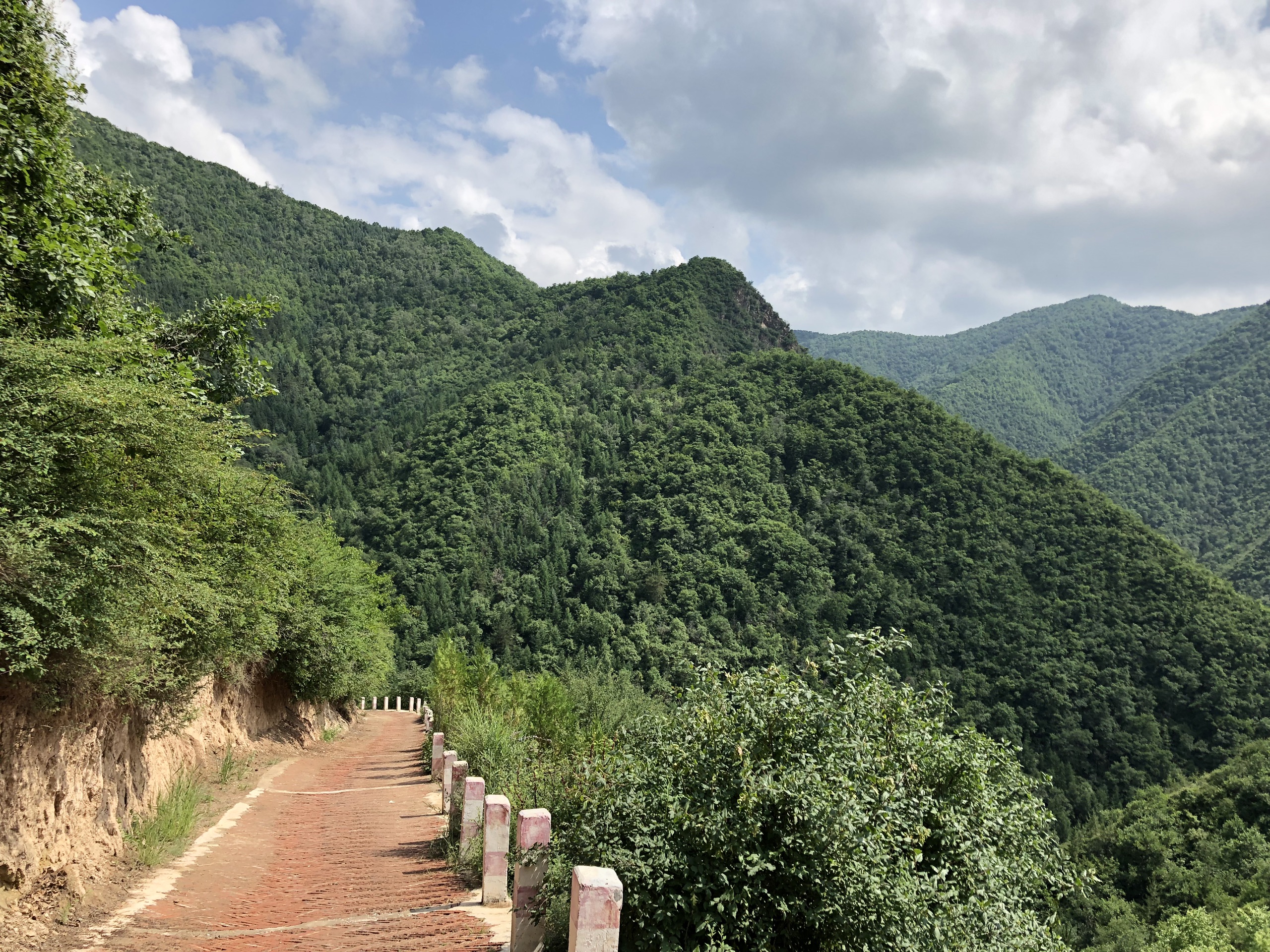 兰州石佛沟国家森林公园
