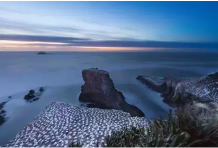 9月下旬纠结是去奥克兰的auckland还是wellington