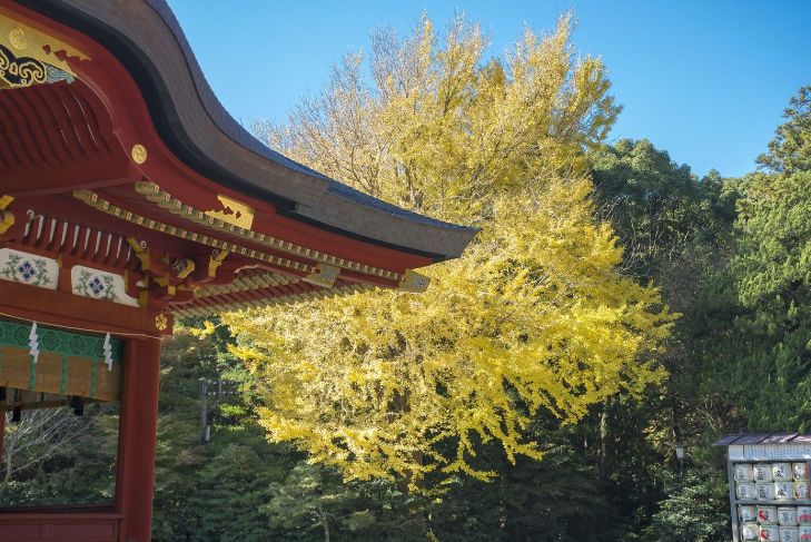 潜派旅行