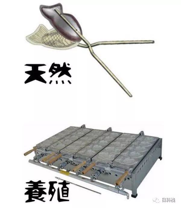 潜派旅行