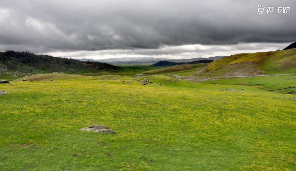 青岛美食-一品鲜
