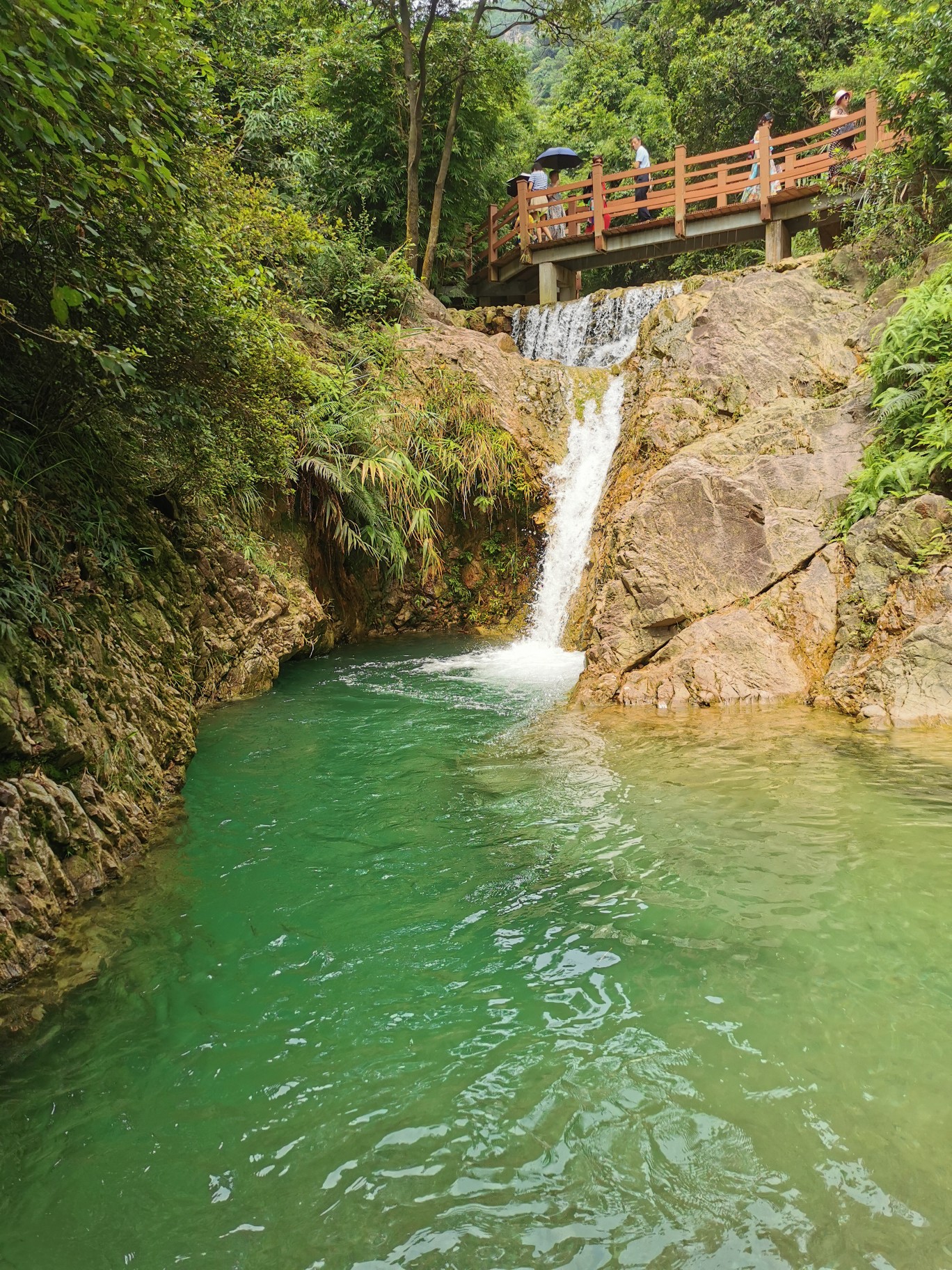 高明南海湾森林生态园,鹤山茶山一日游