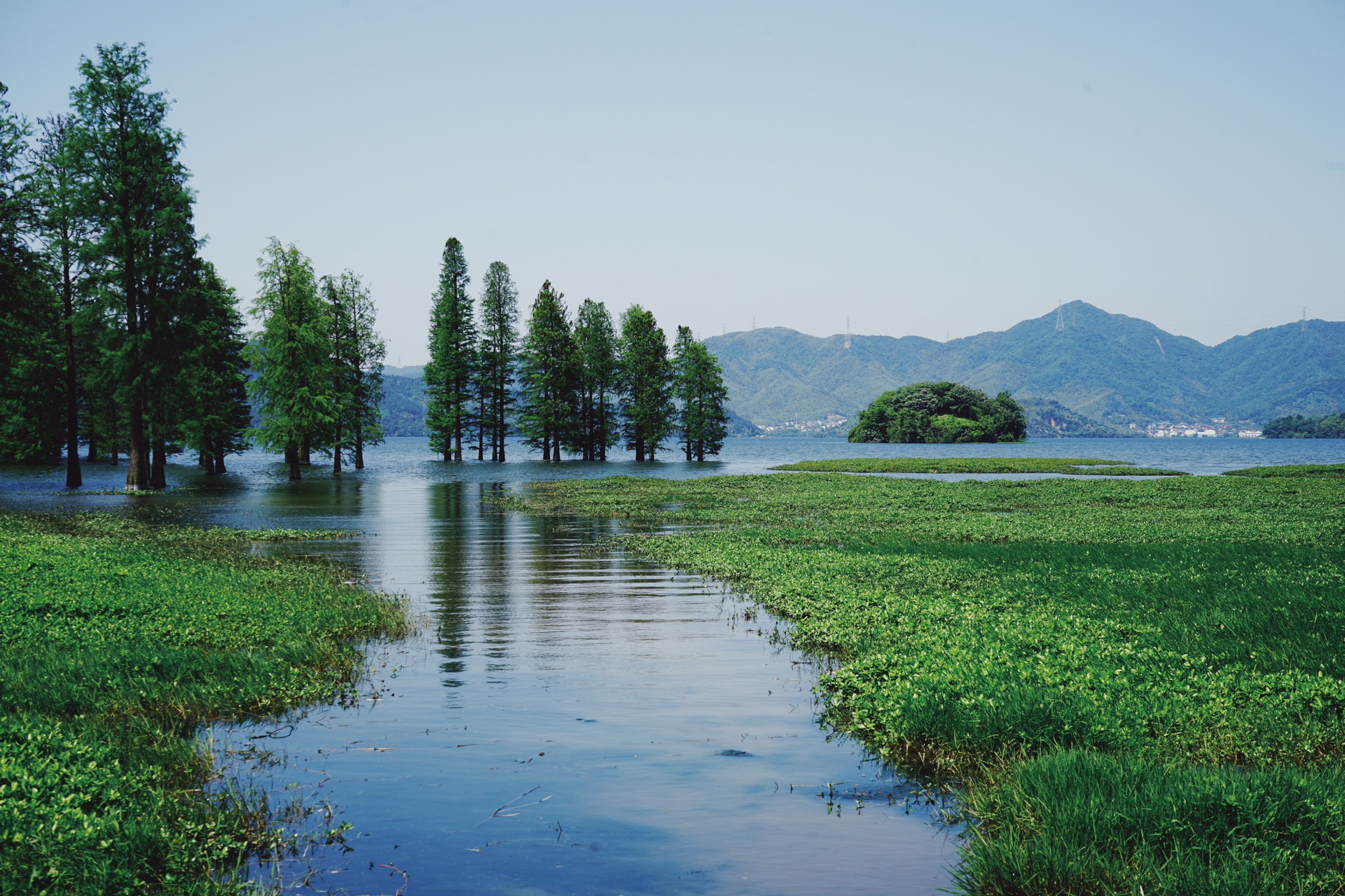 春下江南旅记(六):5月3日日记,余姚——梁弄镇四明湖水杉林,四明山的