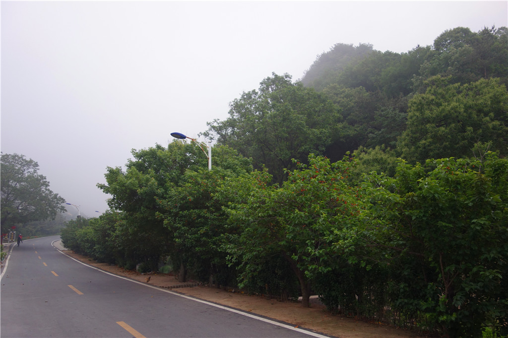 日照五莲九仙山_游记