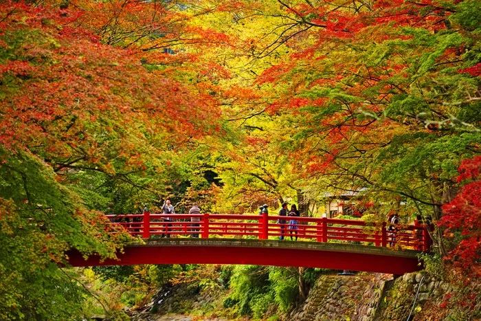 潜派旅行