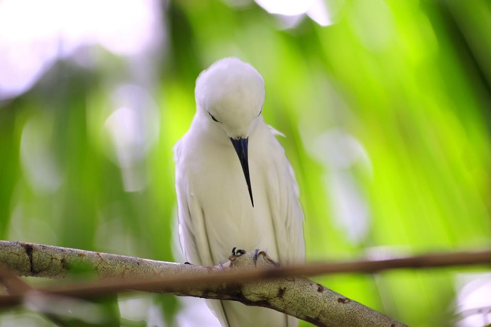 潜派旅行