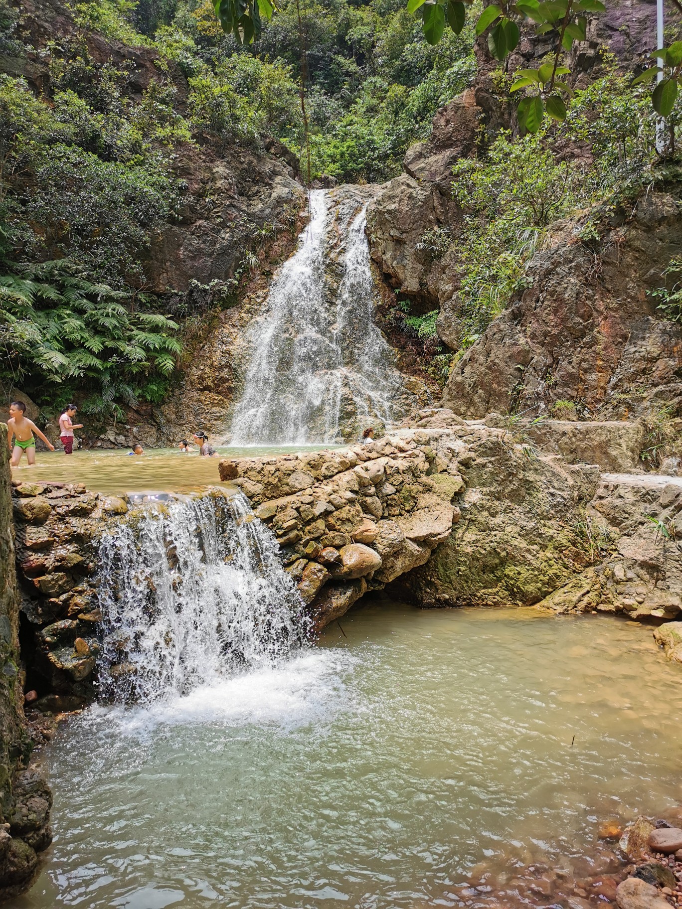 高明南海湾森林生态园,鹤山茶山一日游