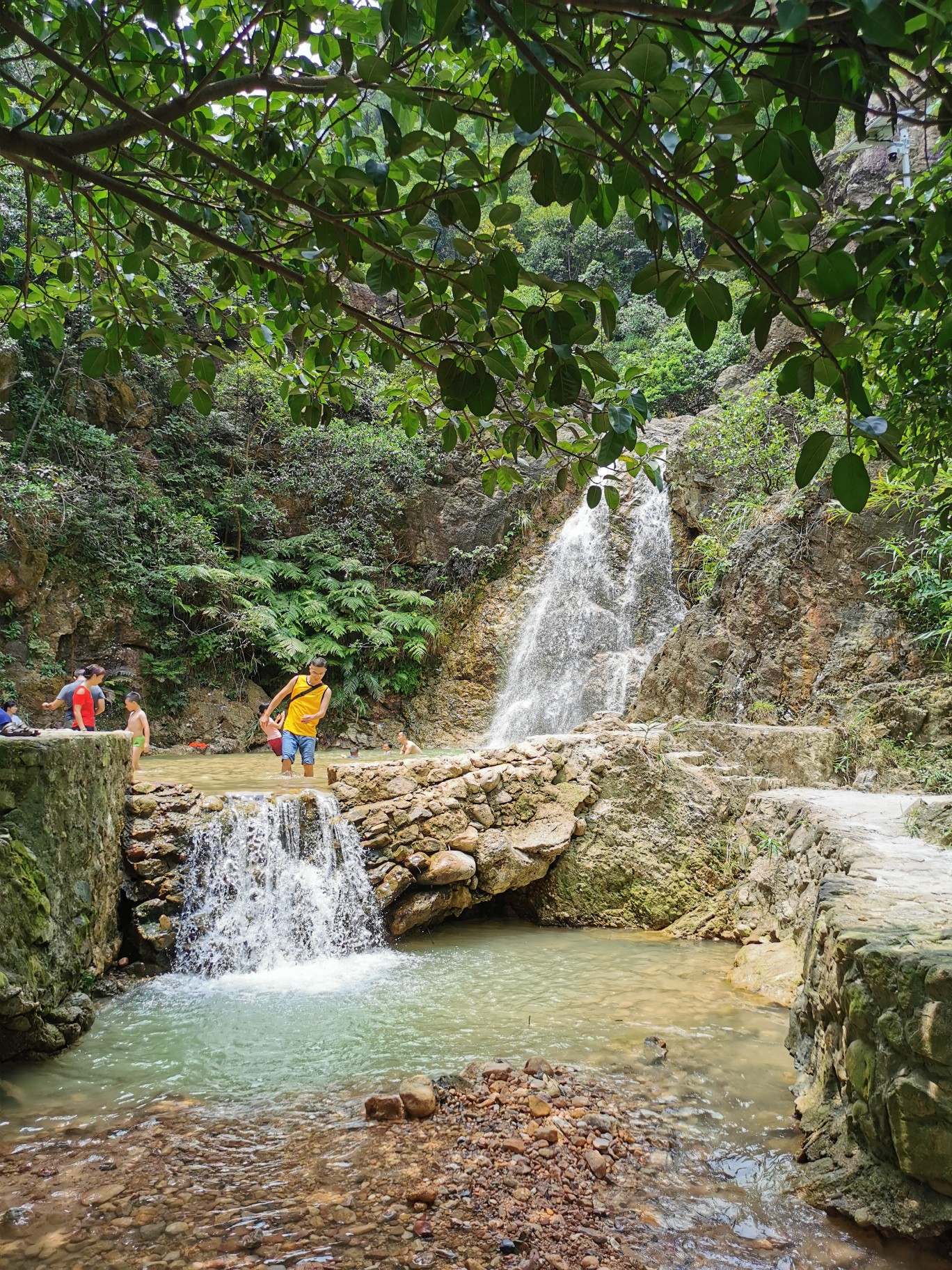 高明南海湾森林生态园,鹤山茶山一日游,佛山自助游