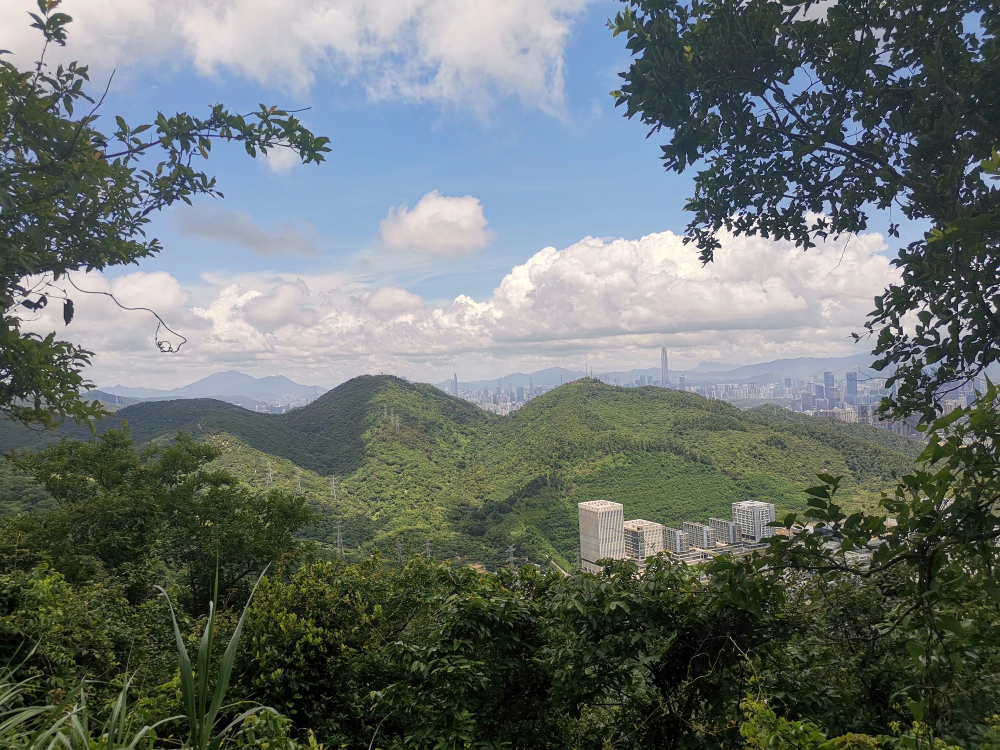 广东省深圳市南山区龙珠六路塘朗山公园