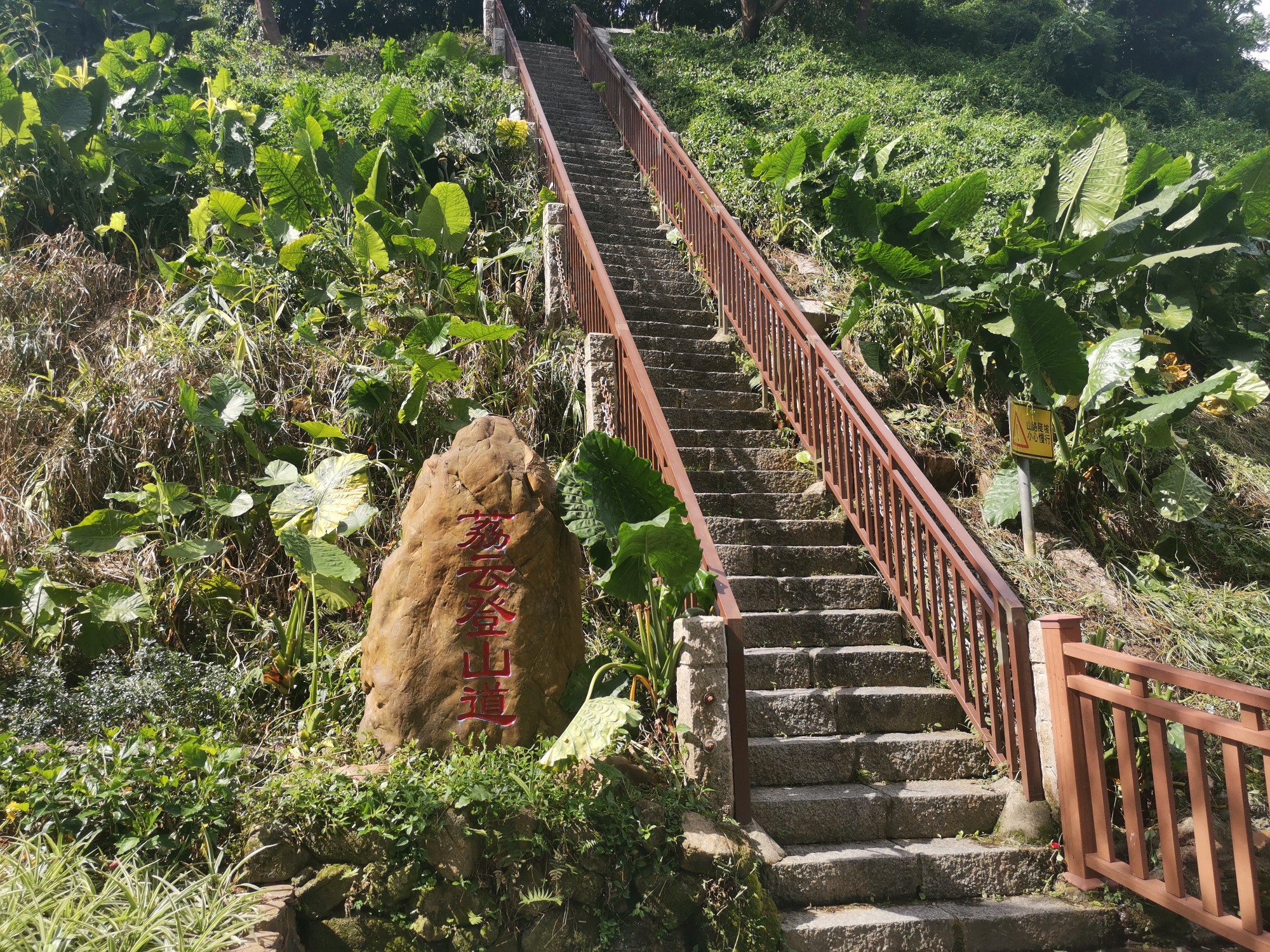 广东省深圳市南山区龙珠六路塘朗山公园