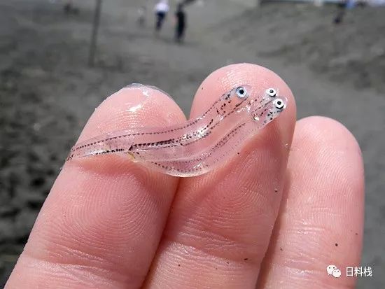 潜派旅行