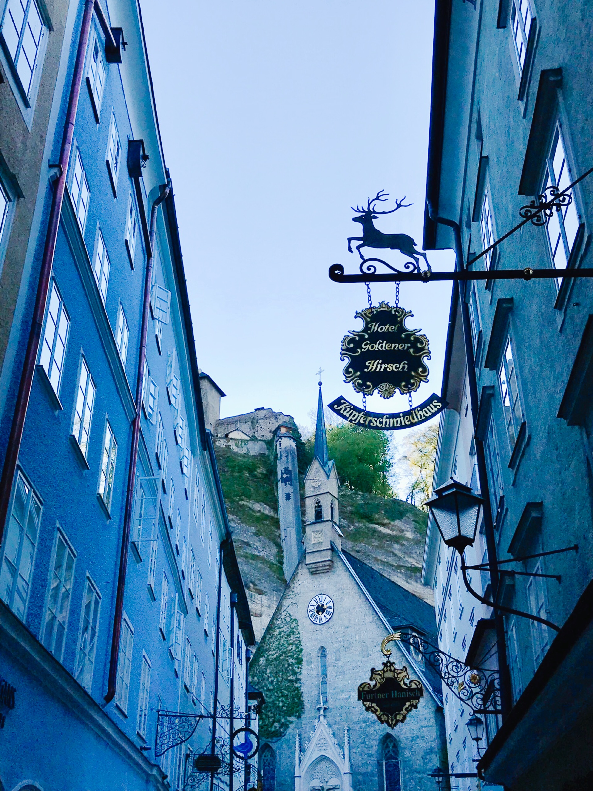 萨尔茨堡娱乐-Sound of Salzburg Dinner Show