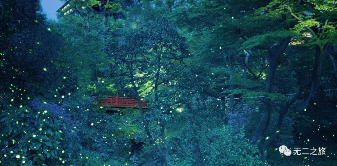 潜派旅行