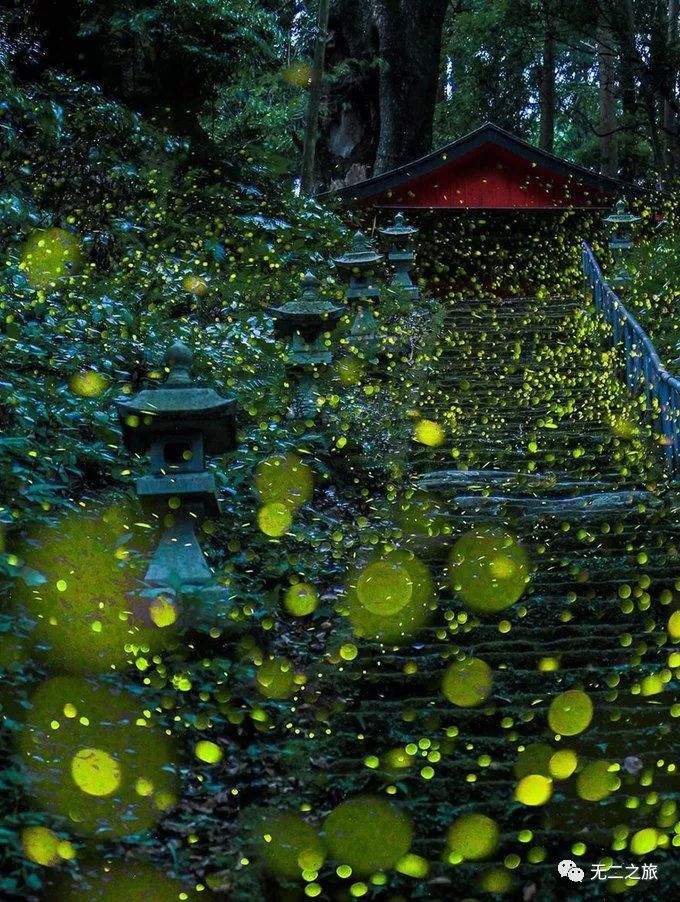 潜派旅行