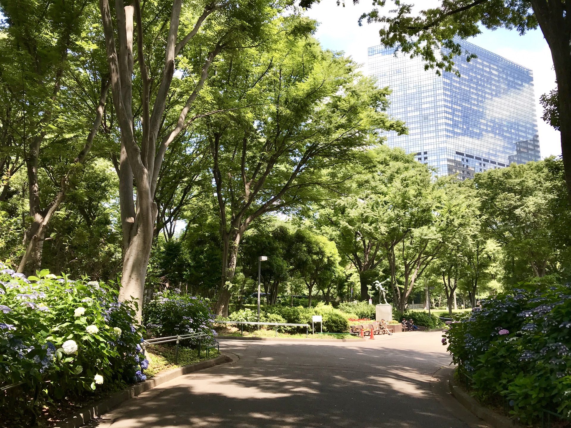 新宿中央公园