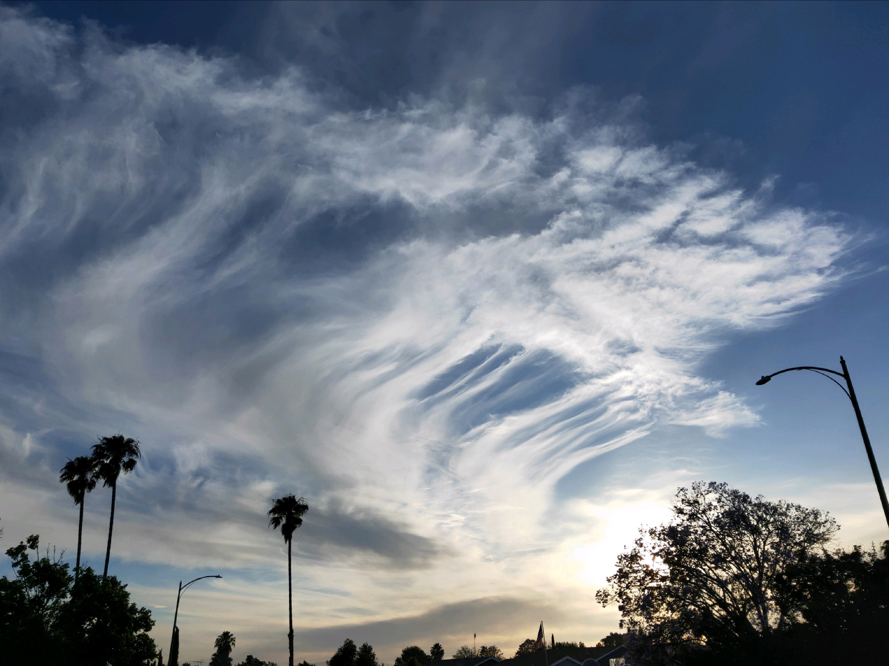 圣何塞美食-Thien Huong Sandwiches & Bakery