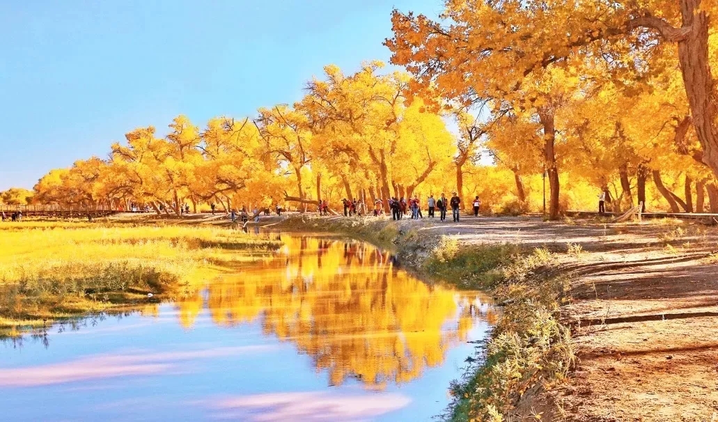 河西走廊5日~金塔胡杨林看秋景~张掖丹霞 嘉峪关 阳关
