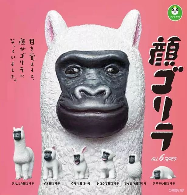 潜派旅行