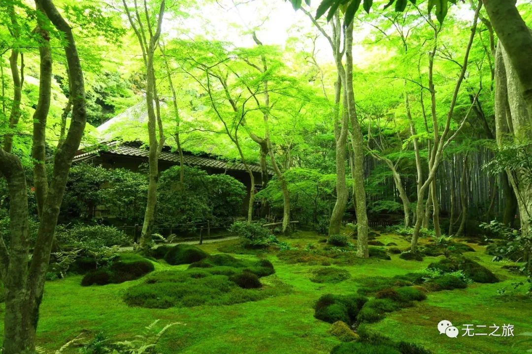 潜派旅行