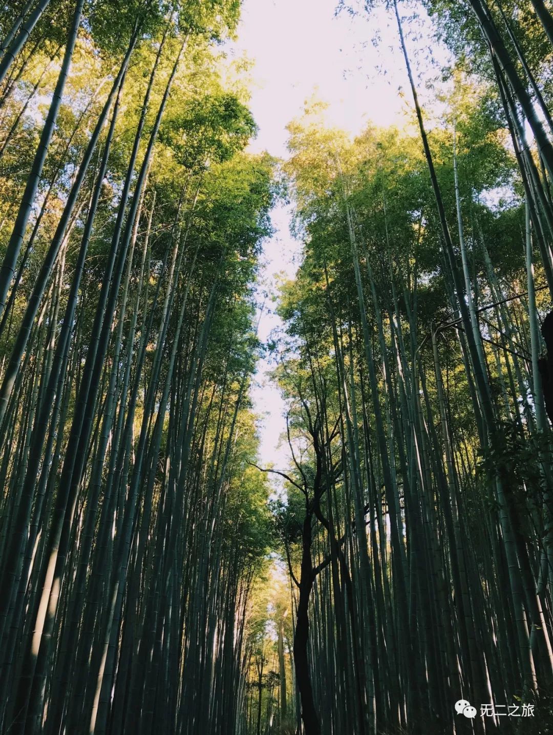 潜派旅行