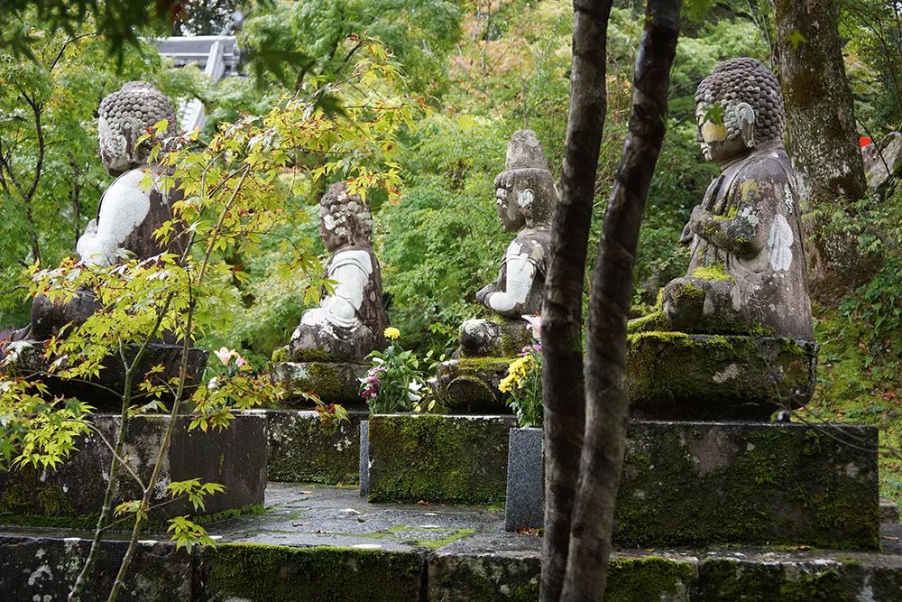 潜派旅行