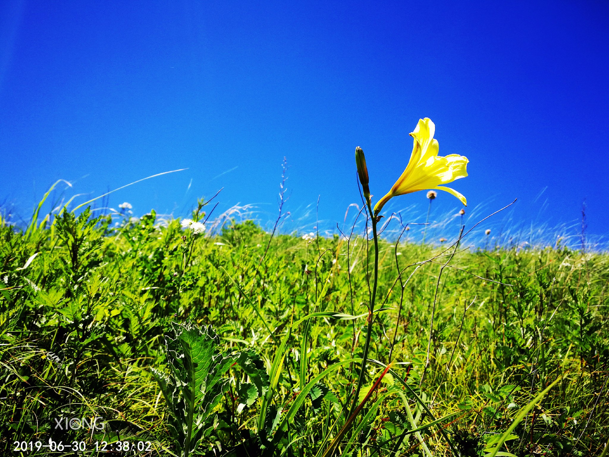 行走黄花梁