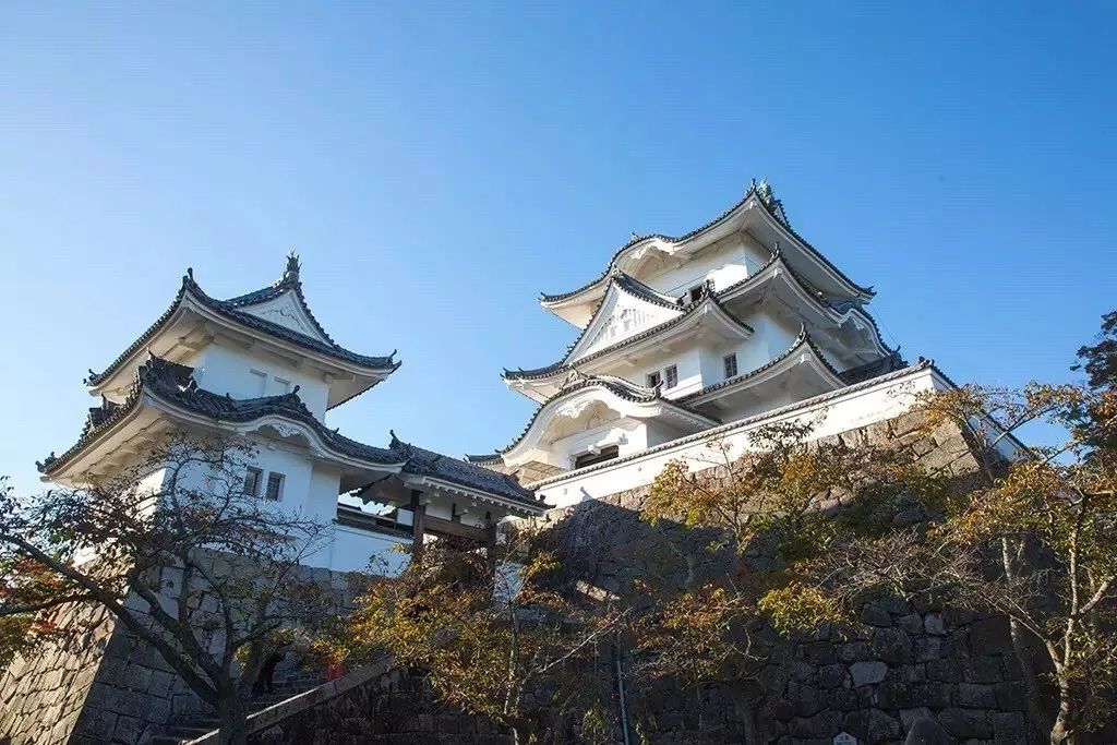 潜派旅行