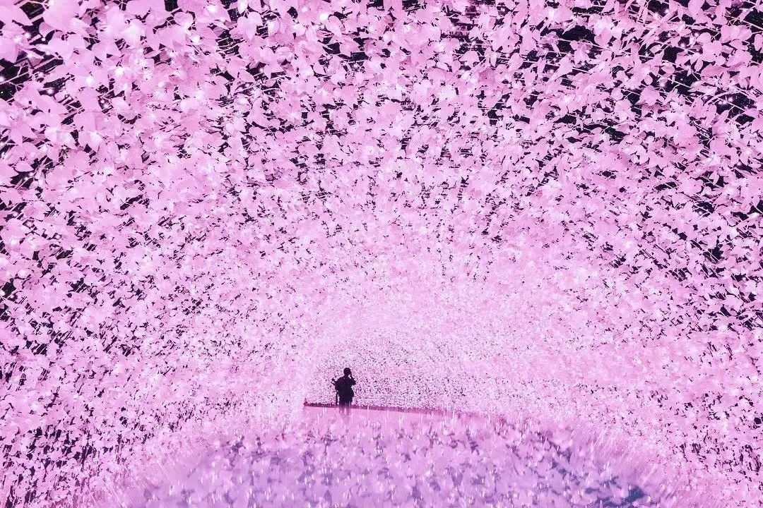 潜派旅行